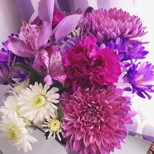 Meet your Posher, Amy jo